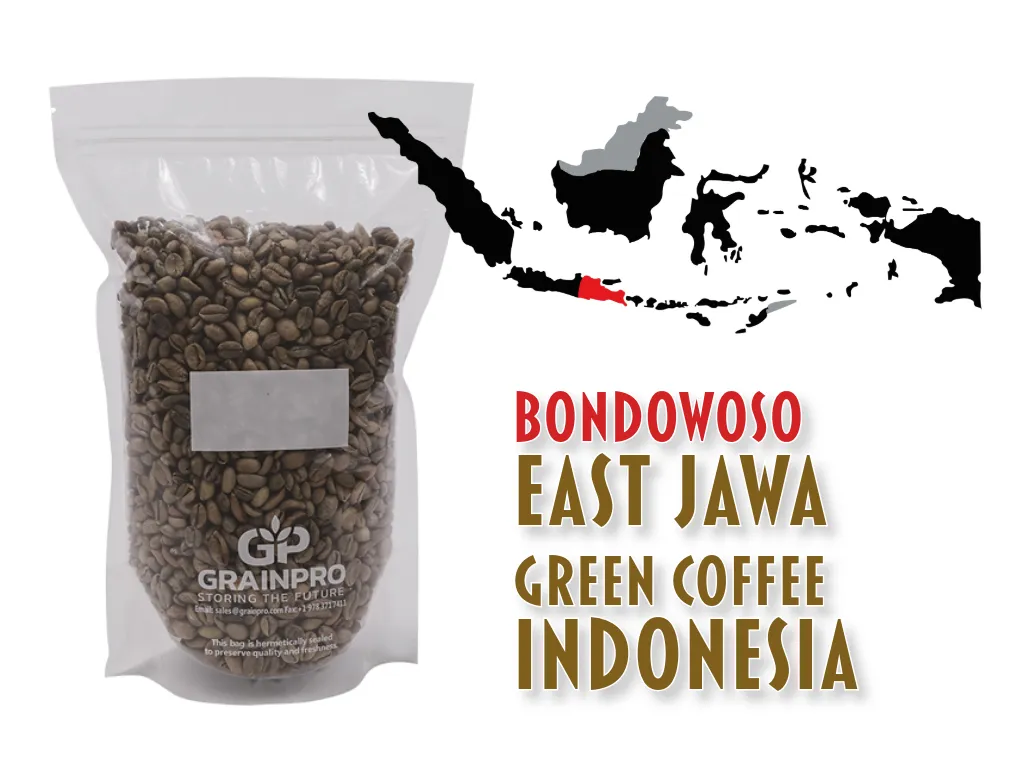 [COGR-EJB-G1AFW-1kg] IKI WAE, Green Coffee, "AURELIA DA'GABO", East-Jawa Indonesia, Grade 1 Arabica, Washed (1x Vac Bag 1kg)
