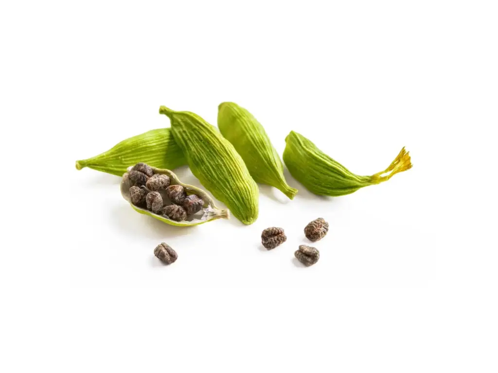 CARDAMOM, Green Cardamom - Whole, "REMPAH-REMPAH", Best Premium Spice, Intense Taste (1x Pouch 250g)
