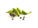 CARDAMOM, Green Cardamom - Whole, "REMPAH-REMPAH", Best Premium Spice, Intense Taste