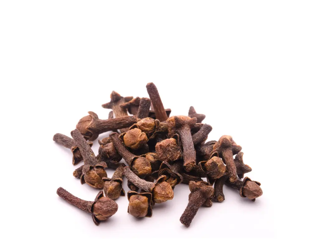 [RERE-CLO-WHFMAU-P100] CENGKEH, Gewürznelken Gewürz Indonesien - ganz, REMPAH2, Rohkost, Intensiver Geschmack (1x Pouch 100g)